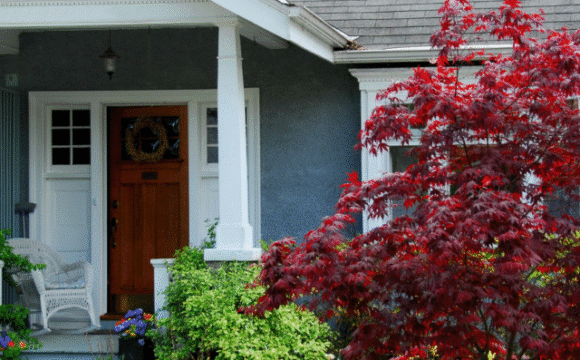 webstories_nayanatarot